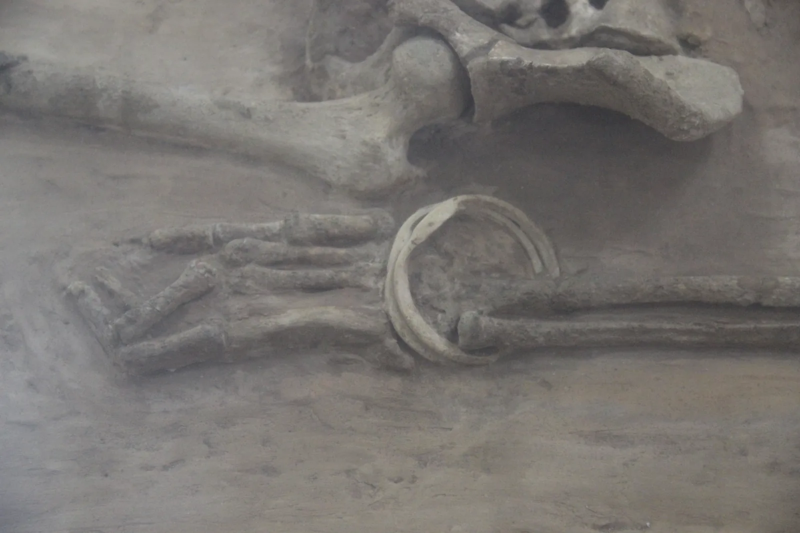 Facing the Past: 5 Revelations from the New Rakhigarhi Discoveries: Harappan burial from Rakhigarhi